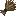 Rye