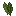 Sage