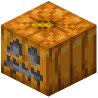 Gray Jack o'Lantern