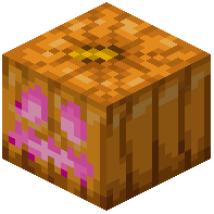 Pink Jack o'Lantern