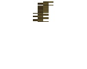 Bull Kelp Plant
