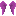 Magenta Feathered Wings