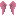 Pink Feathered Wings