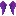 Purple Feathered Wings