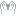 White Dragon Wings