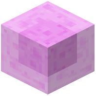 Pink Slime Block