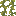 Dingy Vines