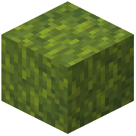 Jungle Moss Block