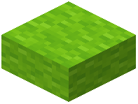 Lime Wool Step