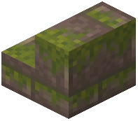Mossy Chert Brick Stairs