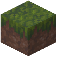 Musty Grass Block