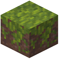 Overgrown Musty Dirt