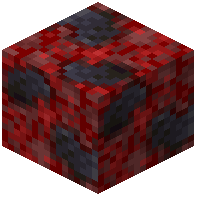 Scattered Polished Blackstone Tiles