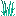 Chromium Tall Bush