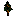 Black Yellow Sapling