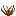 Brown Mud Thorns