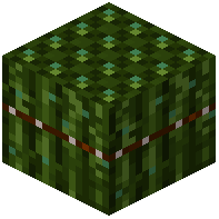 Green Humanoid Cane Stems Bundle