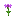 Magenta Mums