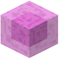 Pink Slime Block