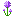 Purple Ponuo