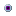 Purple Sand Hag Eye
