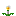 Second Round Dandelion