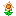 Sun Orange Flower