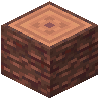 Wonderland Log