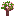 Wonderland Sapling