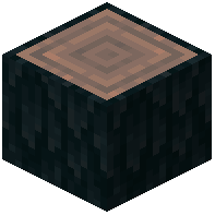 Frozen Log