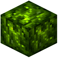 Iridium Block