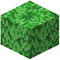 Creeper Box