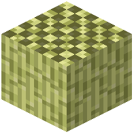 Peeled Sugar Cane Block