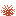 Gracilaria