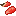 Meat/Meat Protoceratops