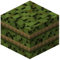 Leaves Prehistoric Plant Bale