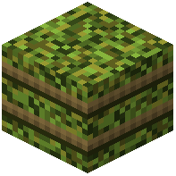 Prehistoric Plant Bale