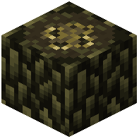 Psaronius Log