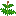 Royal Fern
