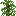 Tempskya