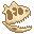 Fresh Carnotaurus Skull