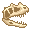 Fresh Ceratosaurus Skull