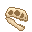 Fresh Chilesaurus Skull