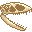 Fresh Dimorphodon Skull