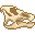 Fresh Edmontosaurus Skull