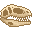 Fresh Giganotosaurus Skull