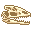 Fresh Guanlong Skull