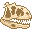 Fresh Majungasaurus Skull