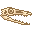 Fresh Procompsognathus Skull