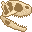 Fresh Rugops Skull